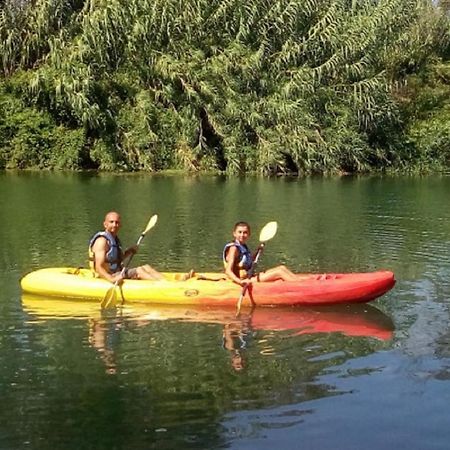Les Cygnes Au Bord Du Loing Vila Montigny-sur-Loing Exterior foto